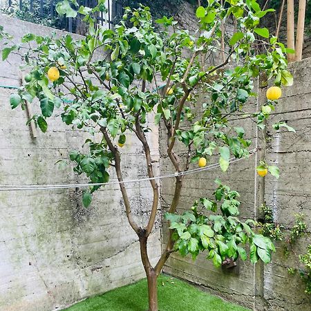 Lemon Tree Resort - Freeparking - Garden เจนัว ภายนอก รูปภาพ